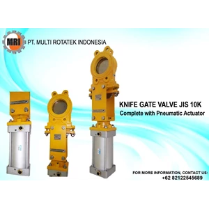 Knife Gate Valve JIS 10K Complete With Pneumatic Actuator