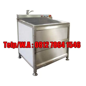 Air Bubble Vegetable Washer Capacity 200-300 kg/h