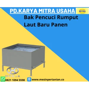 Bak Pencuci Rumput Laut Baru Panen