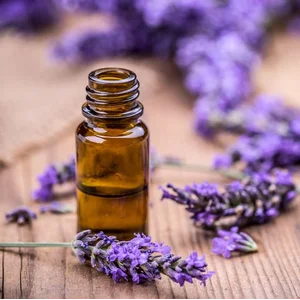 Lavender Essential Oil 1 Kg