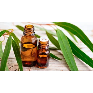 Eucalyptus Globulus Essential Oil 1 Kg