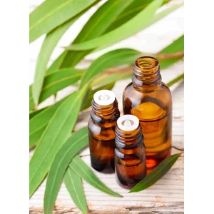 Eucalyptus Globulus Essential Oil 100 Ml