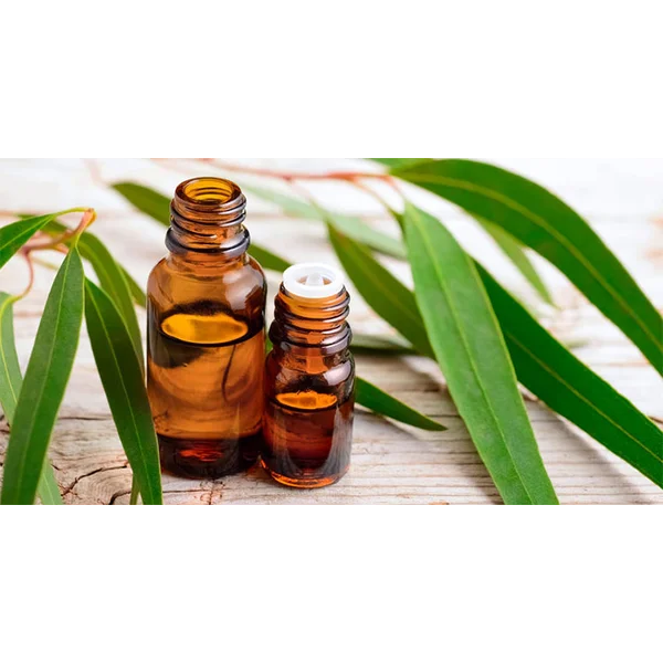 Eucalyptus Globulus Essential Oil 100 Ml