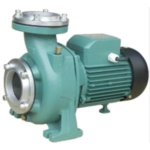 Water Pump Series Centrifugal Pump MFM 129 A 1 Phase & 3 Phase Morris