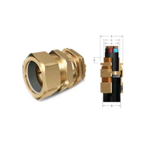 CW Series Brass Cable Gland with Armour/ Kit Pack For CW/ Industrial Cable Gland Axis Series Fort Kabel Industri