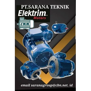PT SARANA TEKNIK MOTOR ELEKTRIM CANTONI Three Phase Induction Motors 