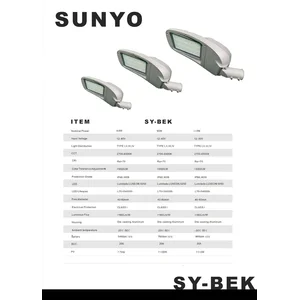 Lampu jalan two in one sunyo 110 watt
