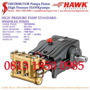 Pompa Hydotest Hawk Pump GXT8020SL Flow rate 80Lpm 200Bar 2900Psi 1000Rpm 41.1HP 30.2Kw