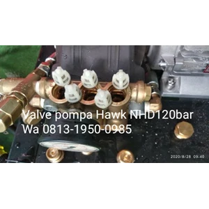 SERVICE Valve pompa piston high pressure hawk Pump