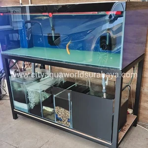 Buy Aquarium rack set arowana + filter stacking size 150 cm by Toko ...