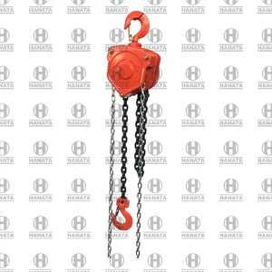 Chain Block Kawasaki 1.5T x 7M