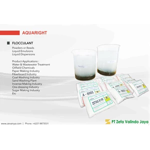 Water Treatment Chemical  Flocculant