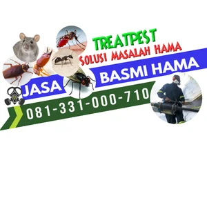 Pestisida Jasa Anti Rayap Surabaya 
