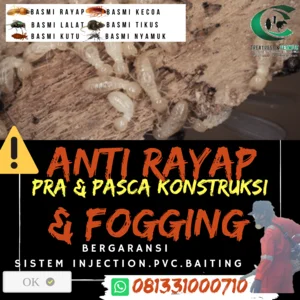 Jasa Anti Rayap Pra Dan Pasca Konstruksi  