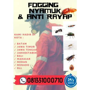 Jasa Anti Rayap Pra Dan Pasca Konstruksi  
