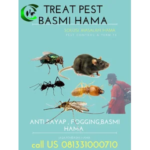 Anti Rayap Surabaya Kimia Anti Rayap