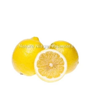 Buah Segar Lemon Citrus Import Premium