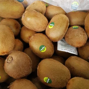 Buah Segar Kiwi Hijau Import