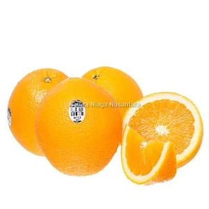 Buah Segar Jeruk Sunkist Navel