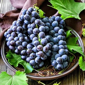 Buah Segar Anggur Hitam Black Seedless Grapes Import