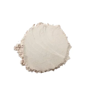 Garlic Powder - 25 kgs bulk Packaging