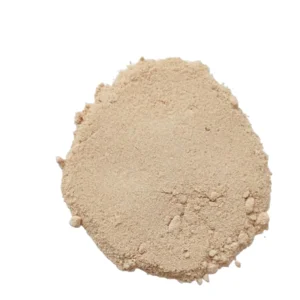 Toasted Onion Powder - 25 kgs bulk packaging