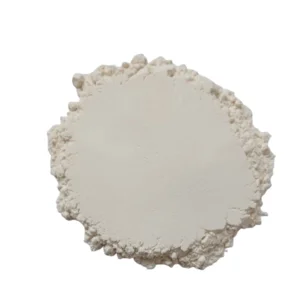 White Onion Powder - 25 kgs bulk packaging