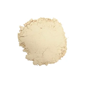 Ginger Powder 25 kgs Bulk Pack 