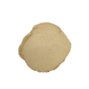 Green Chili Powder 25 Kgs Bulk Pack 