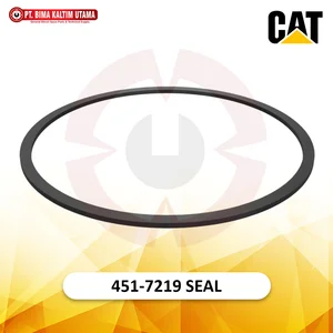 451-7219: Hydraulic Cylinder SEAL KIT