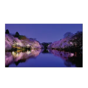 Video wall Hisense  55" 1.8mm Bezel 55L18H5k