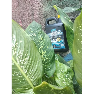 Kosentrat Sampo Cuci Mobil Motor Salju Wax