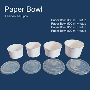Paper Bowl 360
