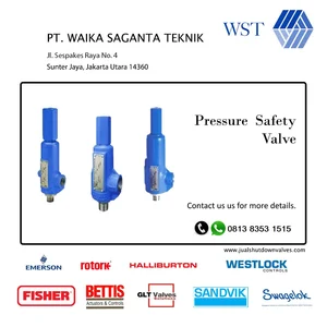 Pressure Safety Valve CROSBY & FARIS
