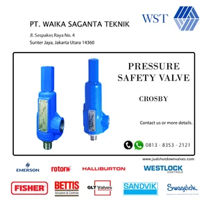 Pressure Safety Valve CROSBY & FARIS