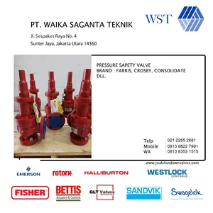 Pressure Safety Valve CROSBY & FARIS