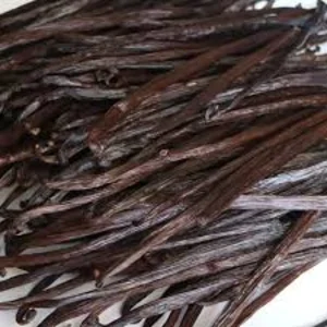 Rempah - Rempah Vanili Tahitian Grade A