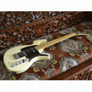 Parker Guitar P-36 Blonde Transparant