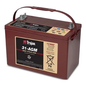 Trojan Battery battery Type 31-AGM 12V