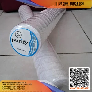 Cartridge Filter Air 10 Inch Benang 