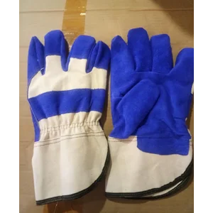 Protector Gloves