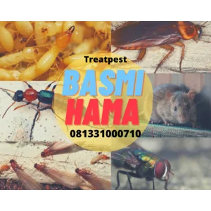 Jasa Anti Rayap Sidoarjo