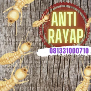 Anti Rayap Surabaya 