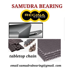 Table Top Chain Conveyor Regina PT. SAMUDRA BEARING