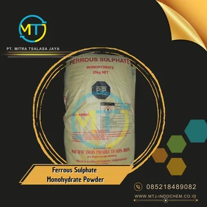 Bahan Kimia Ferrous Sulphate Monohydrate Powder
