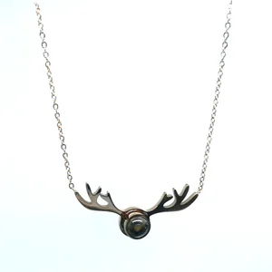 Kalung Titanium Steel Rusa