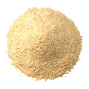 Bawang Putih / Organic Garlic Powder 600K Olam