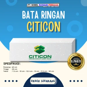 Citicon Lightweight Concrete Block Hebel Thickness 10 cm Surabaya Sidoarjo Nationwide Delivery