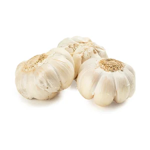 Bawang Putih Utuh