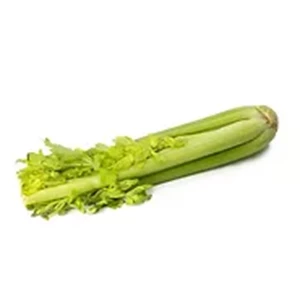 Edenfarm Organic Vegetable Celery Stick Import